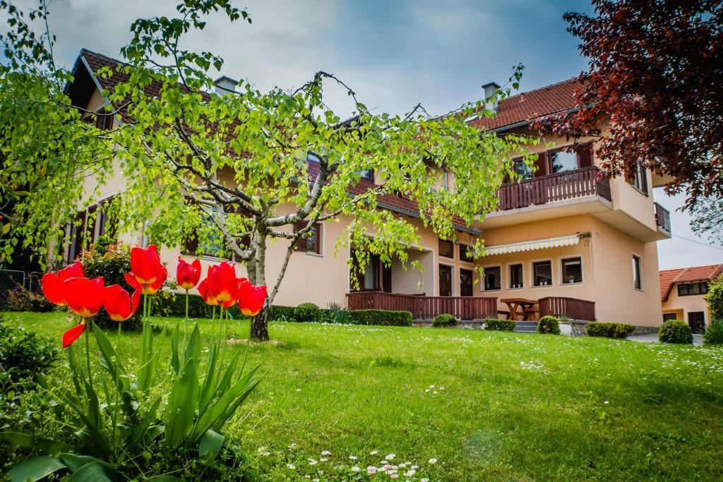 Apartments And Rooms Stefanac Szluin Kültér fotó